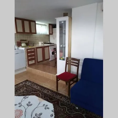 Deniz Kenarinda Guel Bahcesi Ayvalik
