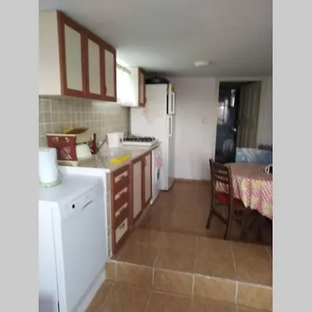 Deniz Kenarinda Guel Bahcesi